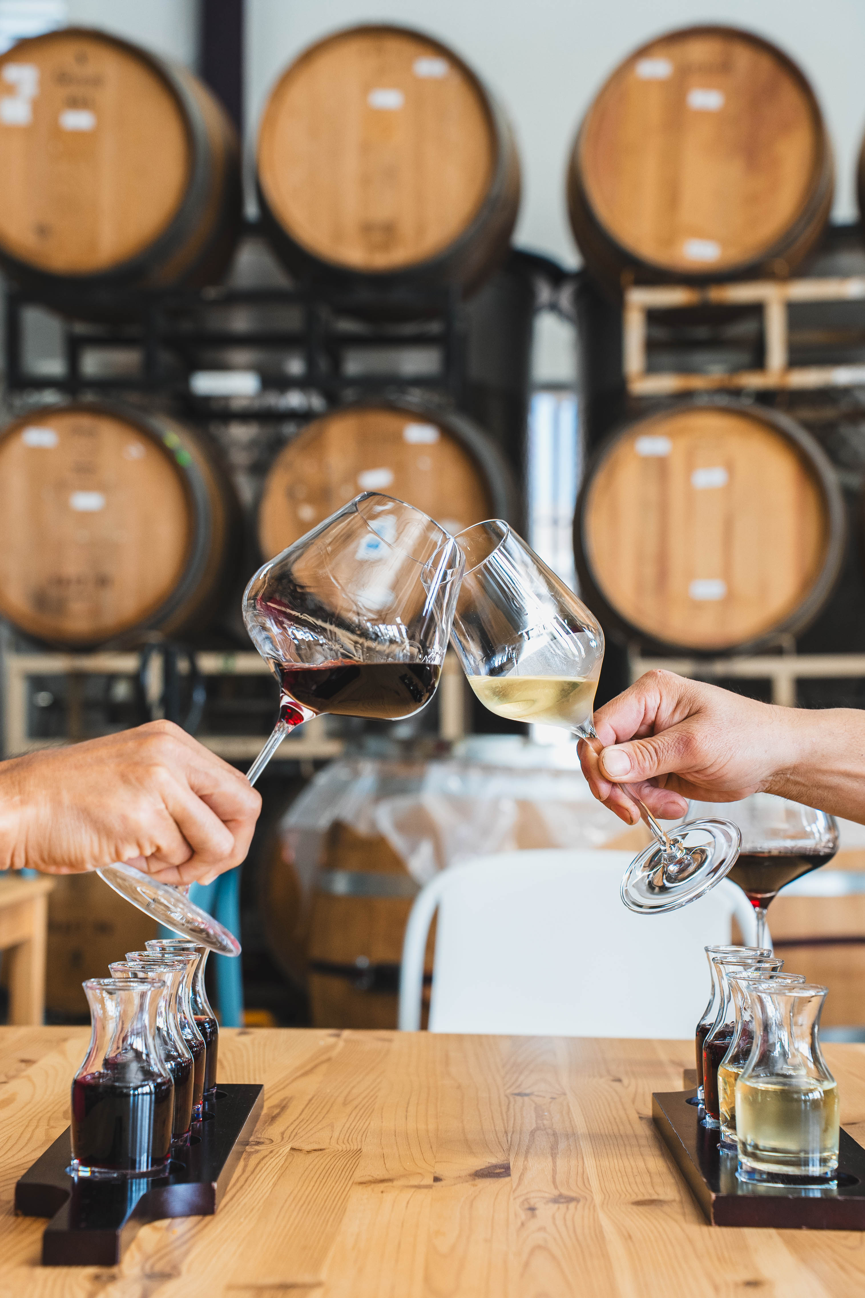 Cheers at NORIA Wines