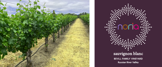 Bevill Family Vineyard, Russian River Valley